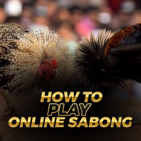 Paano Maglaro ng Online Sabong sa Jili Games? 