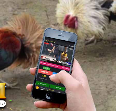 Gabay para Maiwasan na Matalo ng Malaki sa Paglalaro ng Online Casino Sabong sa Jili Games